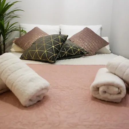 Apartmán Msk Rotonda 2 *